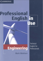 Professional Engineering - 2009.pdf